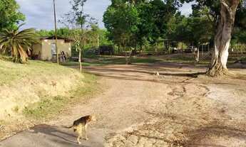 Imagem 7: Sítio com 3,5 alqueires na região do Xuri