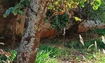 Imagem 5: TERRENO - JARDIM ANHANGÜERA - SP