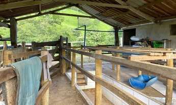 Imagem 2: Chácara 6.61 alqueires em Itapuranga