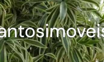 Imagem 2: APTO VENDA-m2- R$ 670 mil- NOVO- Ponta Negra - Natal - RN