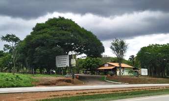 Imagem: Área Comercial BR-153 com 25.000m²