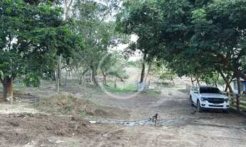 Imagem 2: Cromínia - fazenda com nascente codigo: 111905