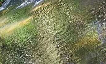 Imagem: Sitio em cassia dos coqueiros sp