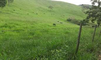 Imagem 4: Venda-se está Fazenda de 91 alqueires em Ipanema /MG
