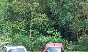 Imagem 4: Sítio a venda em Santo Antônio de Lisboa