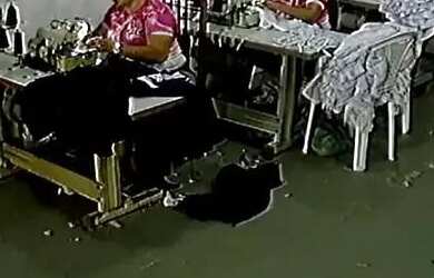 Imagem 4: Oportunidade Imperdivel de Industria/fabrica de confecção/negócio montado/moda/farda