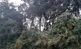 Imagem 5: Terreno à venda em Roseira - SP