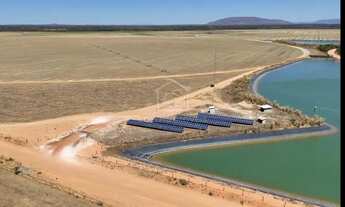 Imagem 5: ARINOS MINAS GERAIS FAZENDA PRONTA PARA PRODUÇÃO COM ALTO POTENCIAL