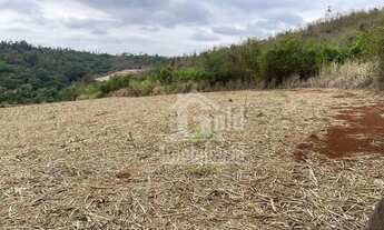 Imagem 6: Fazenda à venda, 56,6 alqueires por R$ 9.000.000 - Zona Rural - São Carlos/SP