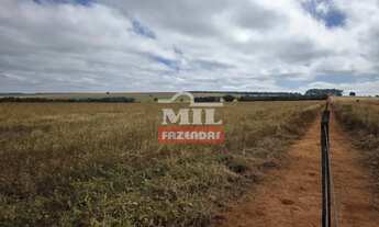 Imagem 4: Fazenda 116 alqueires (561 hectares) Paraúna - GO