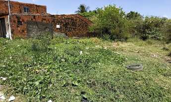 Imagem 2: Vendo terreno no Jatoba