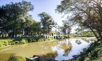 Imagem 2: Chácara à venda, 97074 m² por R$ 1.750.000,00 - Weissópolis - Pinhais/PR