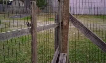 Imagem 3: Casa na Praia Casa com 2 dormitórios