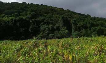 Imagem 2: Lotes para venda tem 500 metros quadrados em Ressaca - Ibiúna - SP