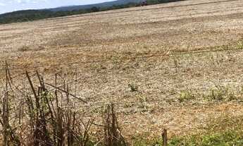 Imagem 2: 625 hectares, 495 hectares aberta e argilosa, soja e pecuária, Poconé-MT