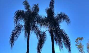 Imagem 3: Sítio.!! Chácara com venda por R$260.000