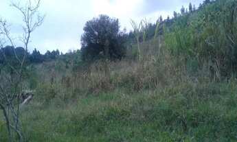 Imagem 2: Sítio!!! Chácara com venda por R$300.000