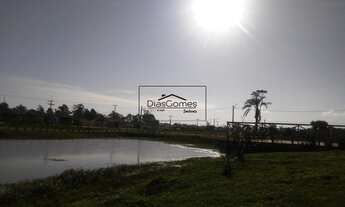 Imagem 3: PELOTAS - Terreno Padrão - Areal