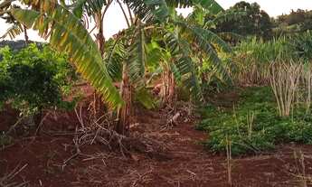 Imagem: Chácara 2 Hectares, localizada na Comunidade