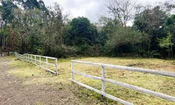 Imagem 5: CHÁCARA COM RIACHO A 1 KM DA RS020