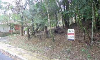 Imagem 2: Terreno Residencial à venda, Vila do Cedro, Canela - TE0821