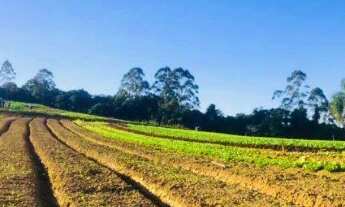 Imagem: Conquiste Seu Terreno dos Sonhos em Ibiúna