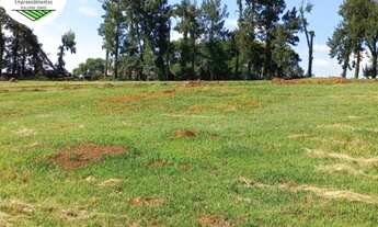 Imagem 2: Lote/Terreno para venda tem 1000 metros quadrados em Jardim Fazenda Rincão - Arujá - SP