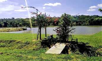 Imagem 7: Excelente lote à venda -Chácara- com 1558 m2 na Go 020 próximo a Bela Vista de Goiás - GO