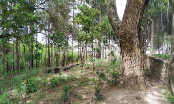 Imagem 3: Terreno - Pinheirinho - Vinhedo