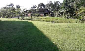 Imagem 6: Fazenda/Sítio/Chácara para venda em Guaramirim no Rio Branco