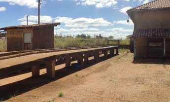 Imagem 4: Barracão super bem localizado e amplo