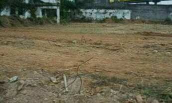 Imagem 7: São Paulo - Terreno Padrão - Ipiranga