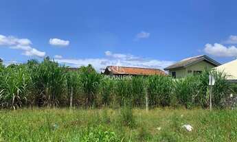 Imagem: TERRENO 100 PLANO LIMOEIRO