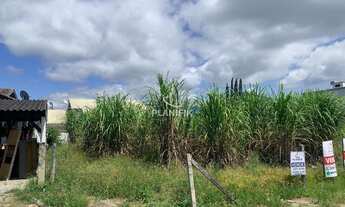 Imagem 4: TERRENO 100% PLANO LIMOEIRO