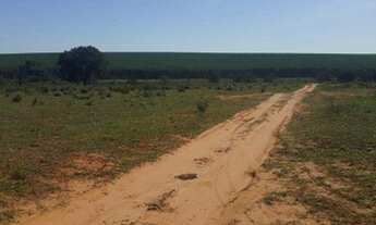 Imagem 2: Fazenda Ribas divisa com Suzano