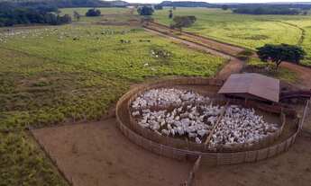 Imagem 7: Fazenda a venda Porteira Fechada, Goiatins - TO