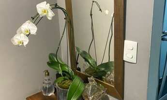 Imagem 2: Apartamento semi mobiliado para aluguel tem 50 metros quadrados com 2 quartos