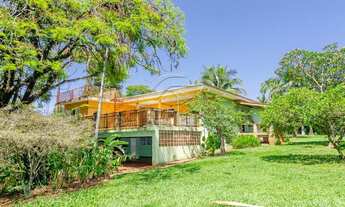 Imagem 4: Londrina - Chácara - Eucaliptos