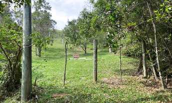 Imagem 3: Lindo terreno com 900m2 no morro da Silveira com bela vista do mar