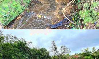 Imagem 4: CHÁCARA COM RIACHO A 1 KM DA RS020