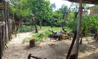 Imagem 4: Casa Casa com 1 dormitório