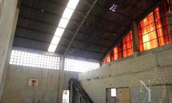Imagem 9: São Paulo - Galpão/Depósito/Armazém - Vila Guilherme