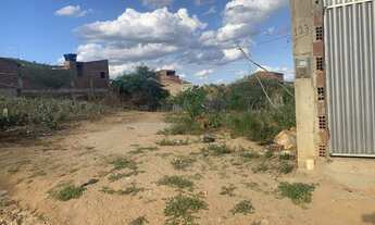 Imagem 5: Terreno Toritama