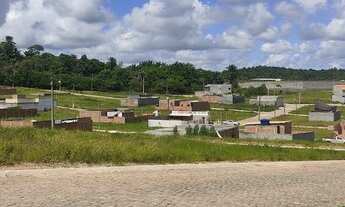 Imagem 2: Lotes em Camaçari com Escritura