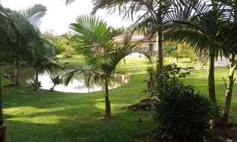 Imagem: Fazenda/Sítio/Chácara para venda em Guaramirim