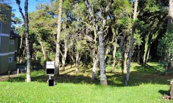 Imagem 2: Terreno Residencial à venda, Laje de Pedra, Canela - TE0669