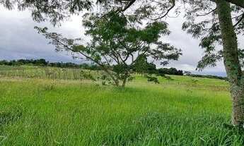 Imagem 4: Magnifico sítio meio hectare com vista panorâmica em Águas claras