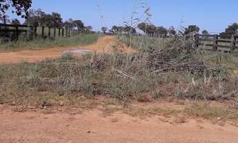 Imagem 5: Fazenda Município de Santana do Araguaia!!!