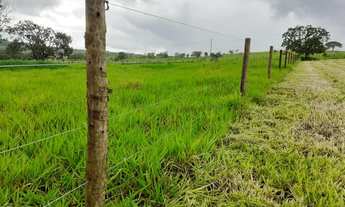 Imagem: Chácara à 30 km de Anápolis-Go. Tamanho