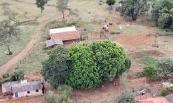 Imagem 5: Fazenda Região de Campo Florido